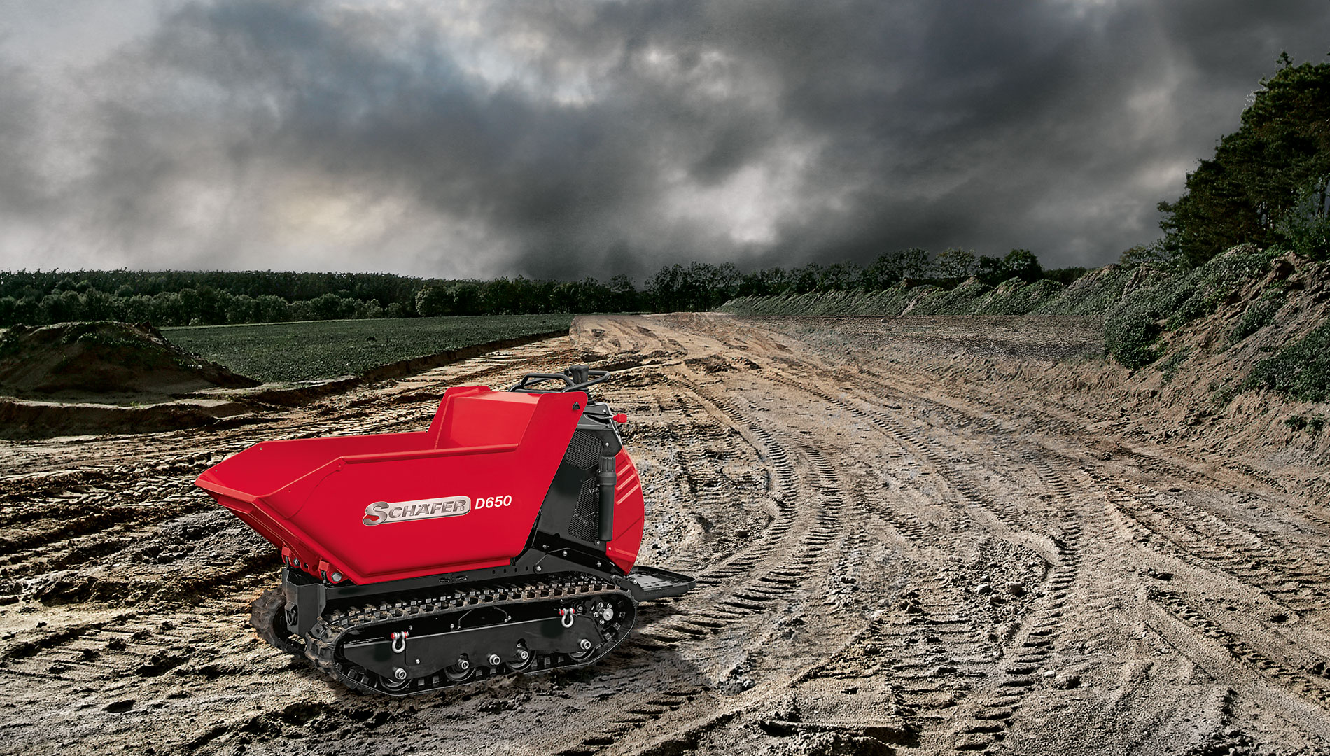 Takeuchi Dumper D 650 D